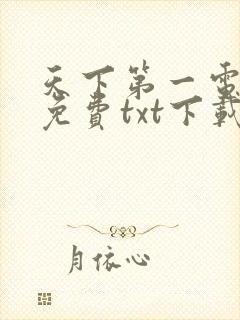 天下第一电子书免费txt下载