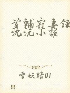 首辅宠妻录重生沈沅小说 首辅宠妻录重生沈沅小说