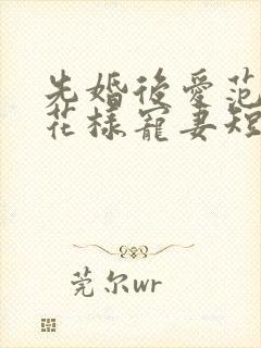 先婚后爱范总的花样宠妻短剧