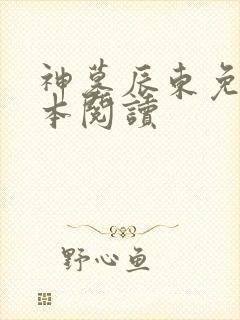 神墓辰东免费全本阅读