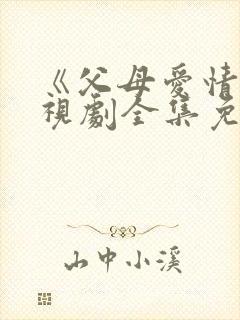 《父母爱情》电视剧全集免费观看