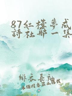 87红楼梦成立诗社哪一集