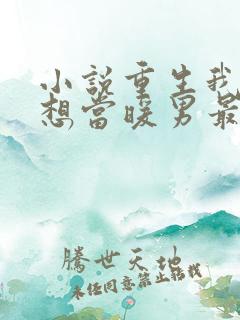 小说重生我真没想当暖男最新章节
