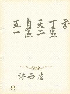五月天丁香婷婷一区二区