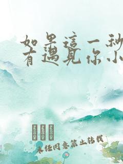 如果这一秒我没有遇见你小说