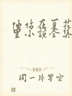 他站在夏花绚烂里小说全集完整版txt