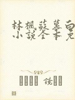 林枫苏慕白穿越小说全本免费阅读无弹窗