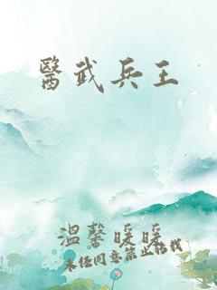 医武兵王