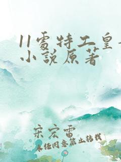 11处特工皇妃小说原著