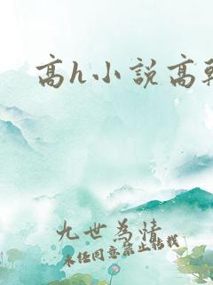 高h小说高干文
