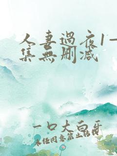 人妻过夜1—2集无删减
