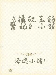 《摄政王的战神医妃》小说
