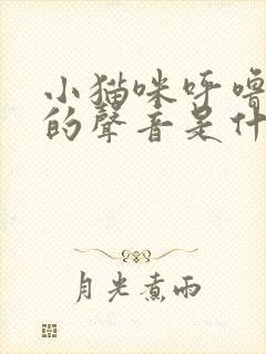 小猫咪呼噜呼噜的声音是什么意思