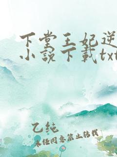 下堂王妃逆袭记小说下载txt
