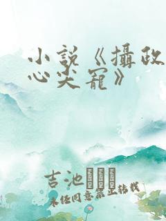 小说《摄政王的心尖宠》