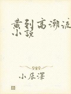 黄到高潮流水的小说