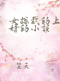 女总裁的上门龙婿的小说