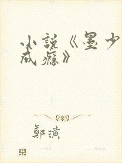 小说《墨少宠妻成瘾》
