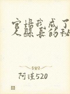官场我成了大美人县长的秘书洛纸鸢阅读全
