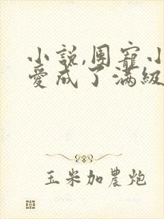 小说,团宠小可爱成了满级大佬