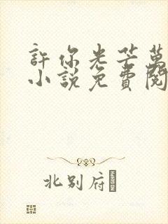 许你光芒万丈好小说免费阅读