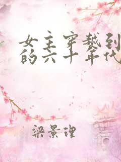 女主穿越到东北的六十年代的小说