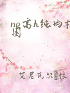 np高h纯肉校园