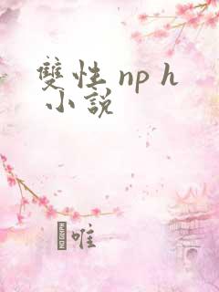 双性 np h 小说