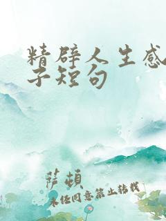 精辟人生感悟句子短句