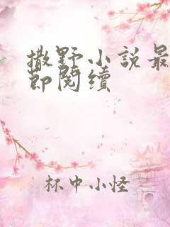 撒野小说最新章节阅续