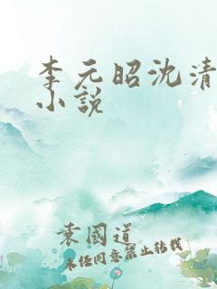 李元昭沈清璃的小说
