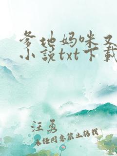 爹地妈咪又跑了小说txt下载