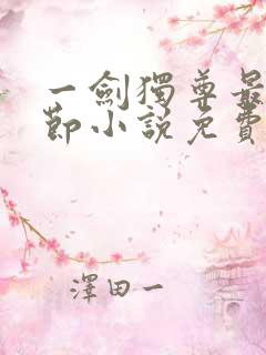 一剑独尊最新章节小说免费阅读