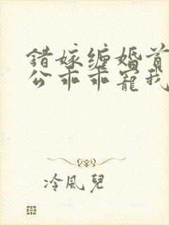 错嫁缠婚首富老公乖乖宠我完整版