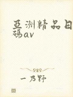 亚洲精品日韩有码av