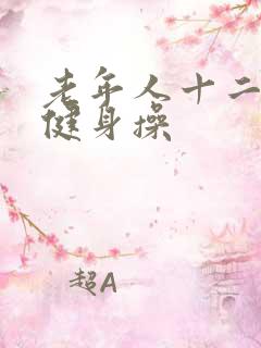 老年人十二经络健身操