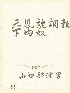 元凤被调教成胯下肉奴