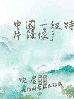中国一级特黄大片录像j
