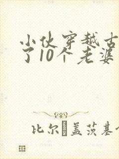 小伙穿越古代娶了10个老婆