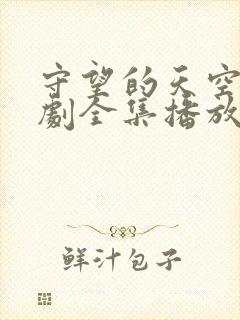 守望的天空电视剧全集播放免费的电视