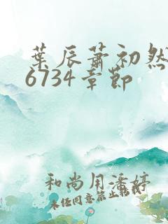 叶辰萧初然最新6734章节