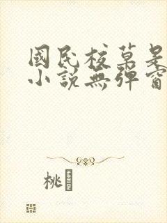 国民校草是女生小说无弹窗