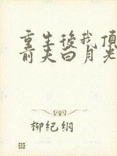 重生后我顶替了前夫白月光完结版