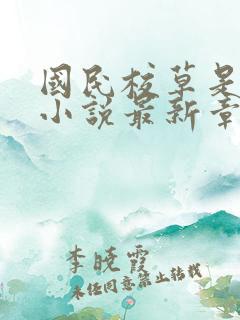 国民校草是女生小说最新章节
