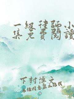一级律师小说全集免费阅读