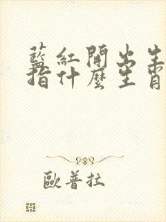 蓝红开出生肖东指什么生肖