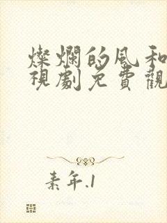 灿烂的风和海电视剧免费观看
