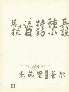 风流特种兵穿越抗日的小说
