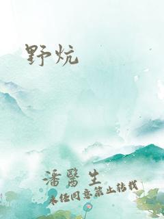 野炕