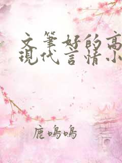 文笔好的高质量现代言情小说